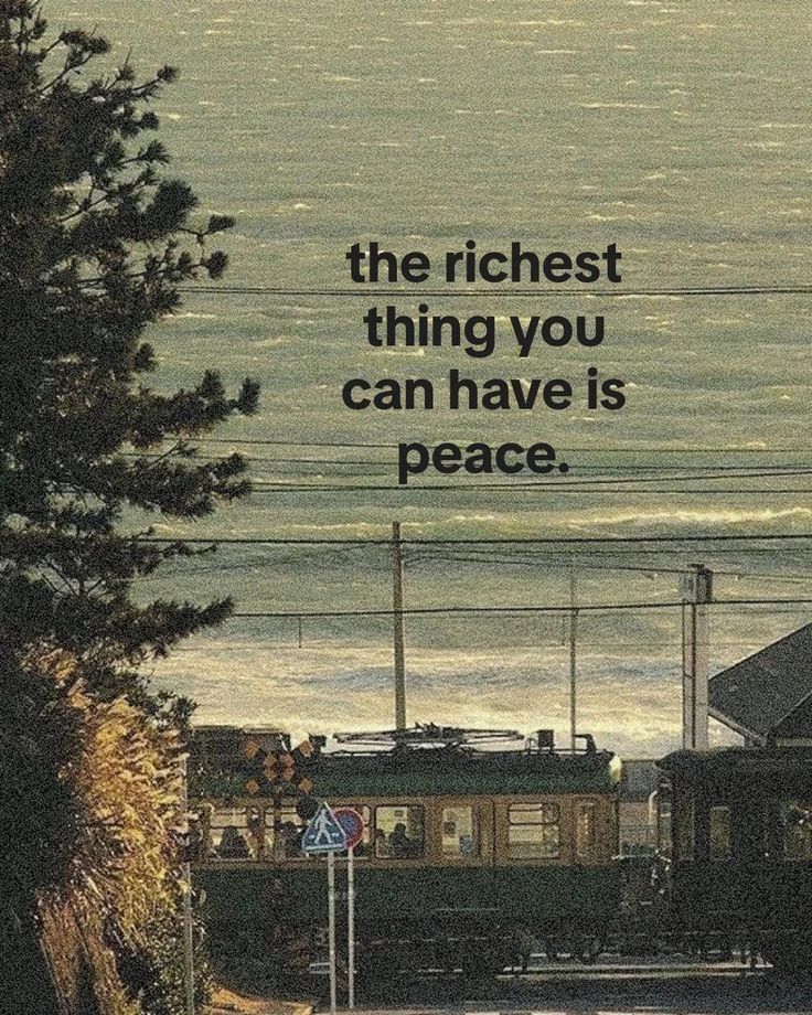 Peace 🕊️......